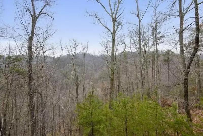 The Secluded Hideaway The Secluded Hideaway